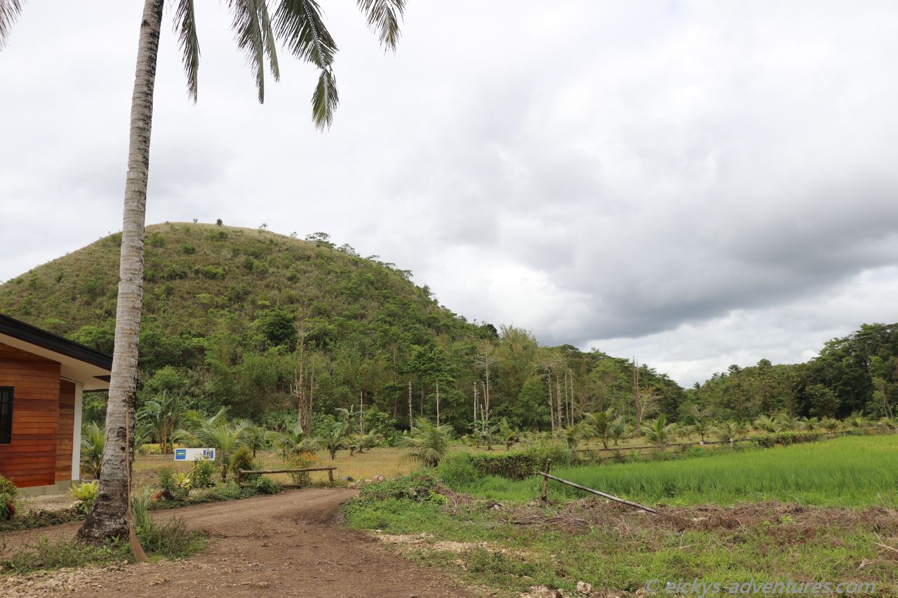 Tour mit dem Buggy bei den Chocolate Hills Tour mit dem Buggy bei den Chocolate Hills