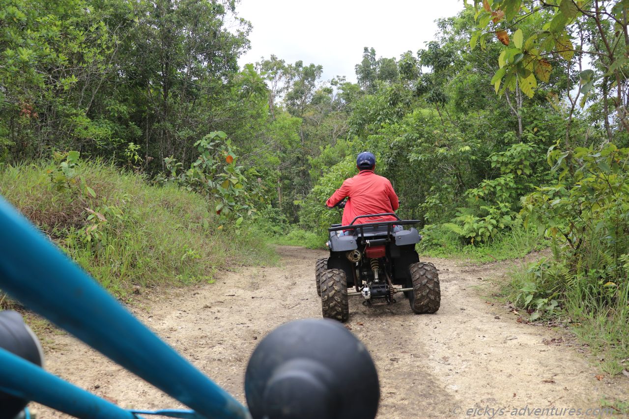 Tour mit dem Buggy bei den Chocolate Hills Tour mit dem Buggy bei den Chocolate Hills