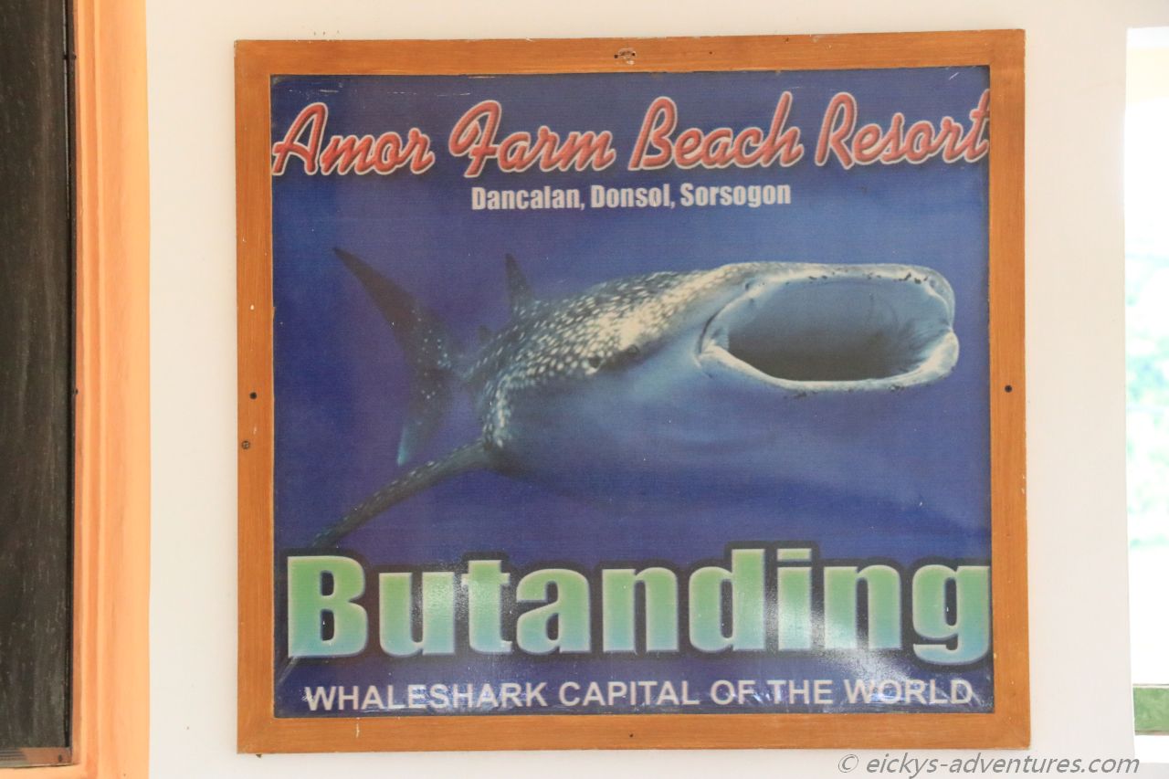 Butanding = Whale Shark = Walhai Butanding = Whale Shark = Walhai