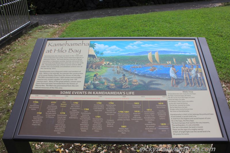 King Kamehameha King Kamehameha