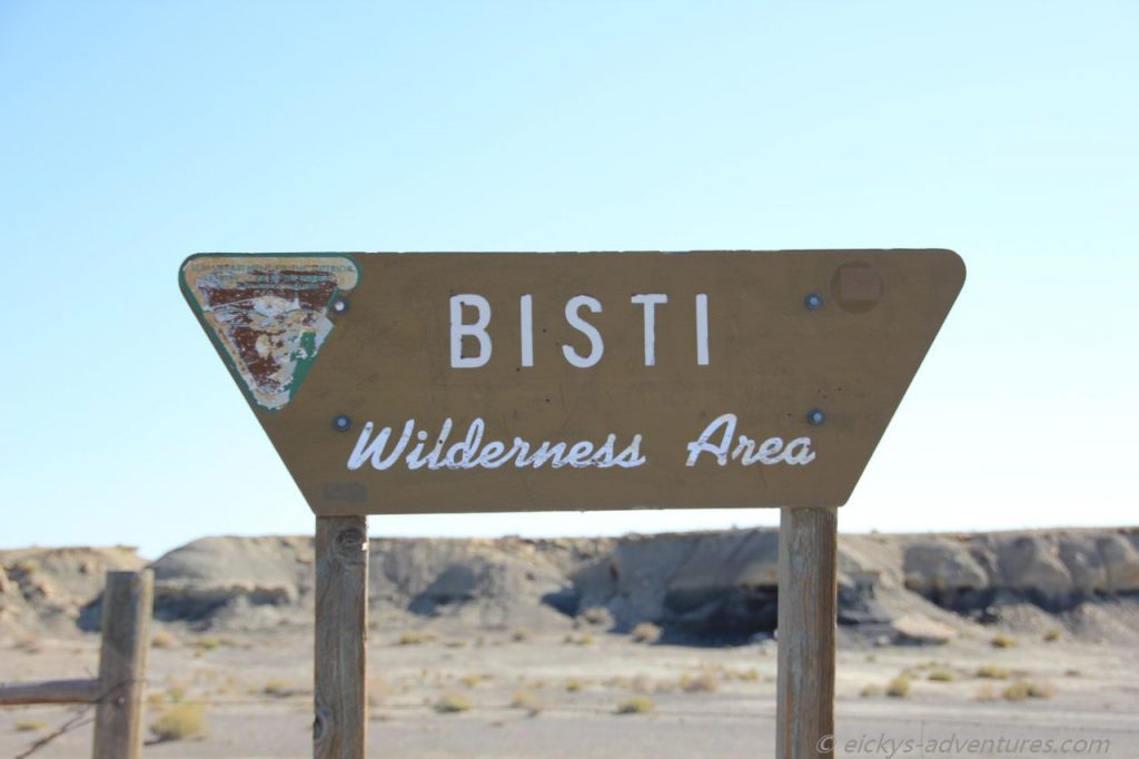 Bisti Wilderness Area