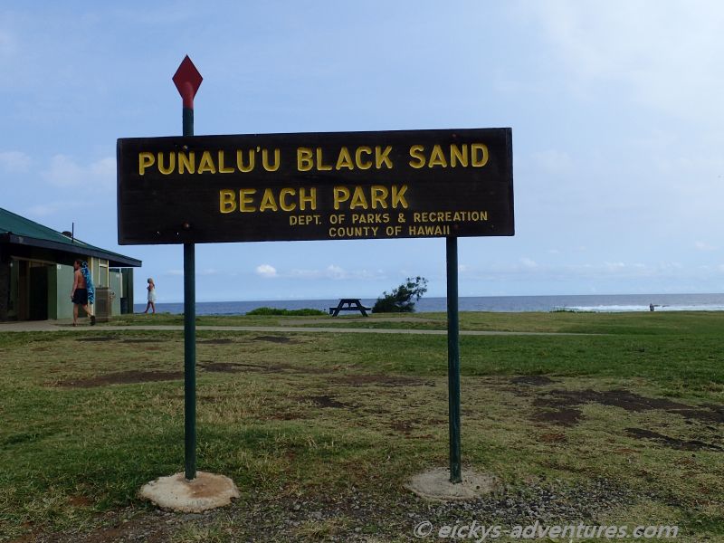 Punaluu Black Sand Beach Park