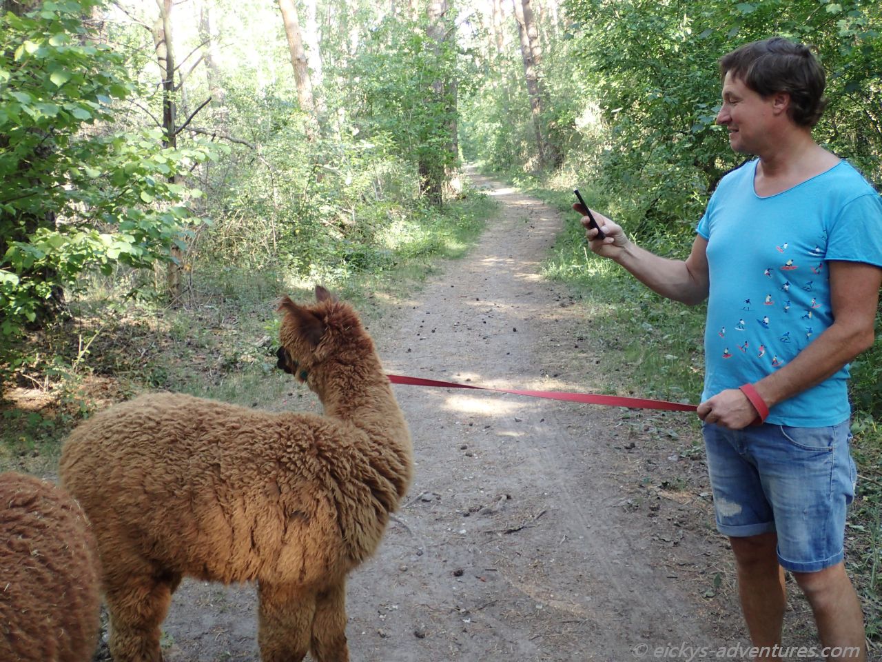 Franky und Teddy Franky und Teddy
